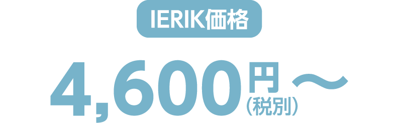 ierik価格 4,600円（税別）〜