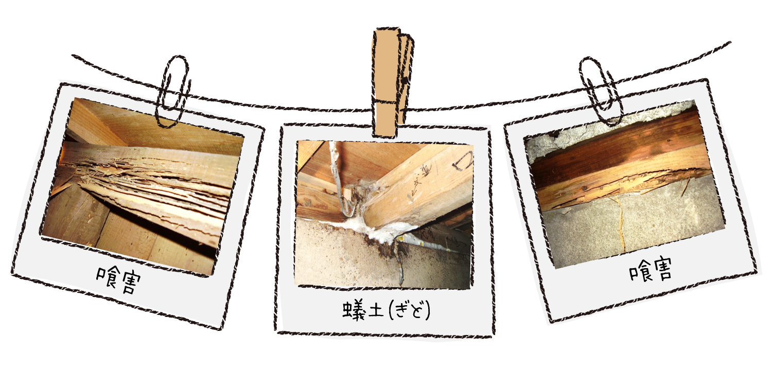 喰害・蟻土の例