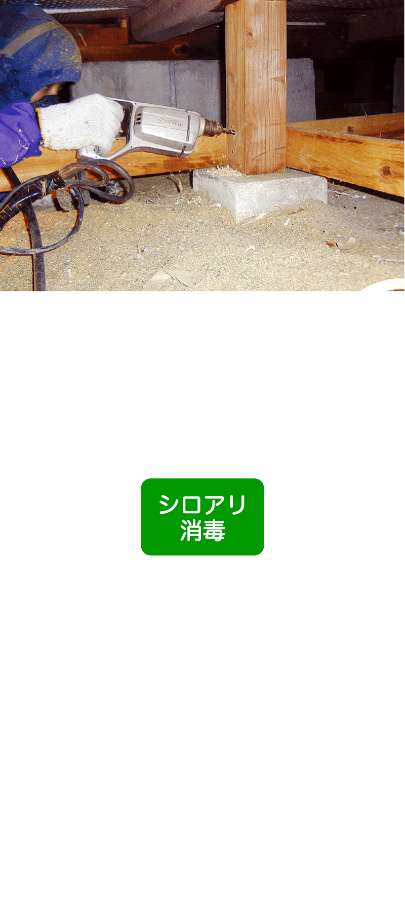 シロアリ撃退コース 79,800円(税込)