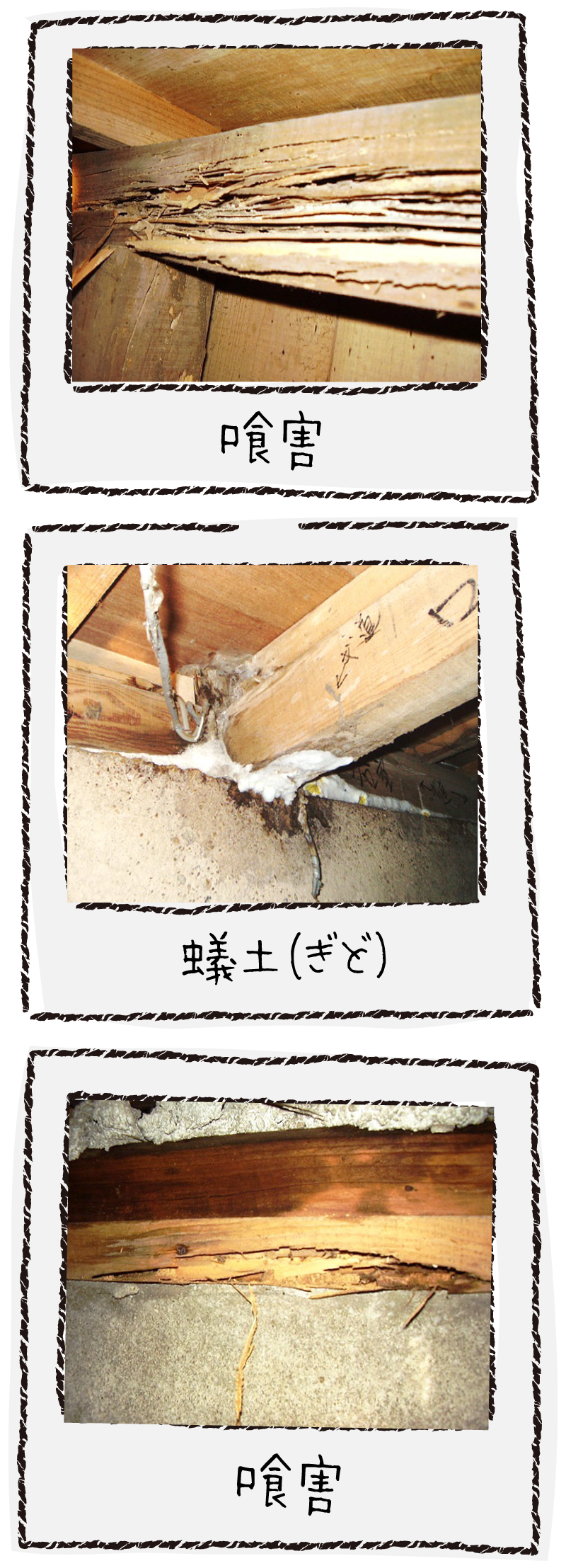 喰害・蟻土の例