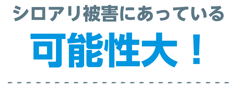 シロアリ被害に遭っている可能性大