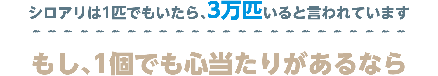 シロアリは1匹でもいたら三万匹いると言われています。