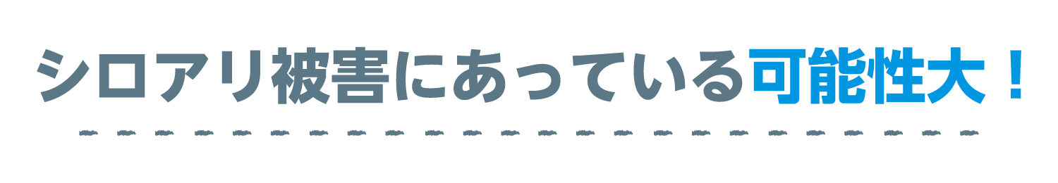シロアリ被害に遭っている可能性大