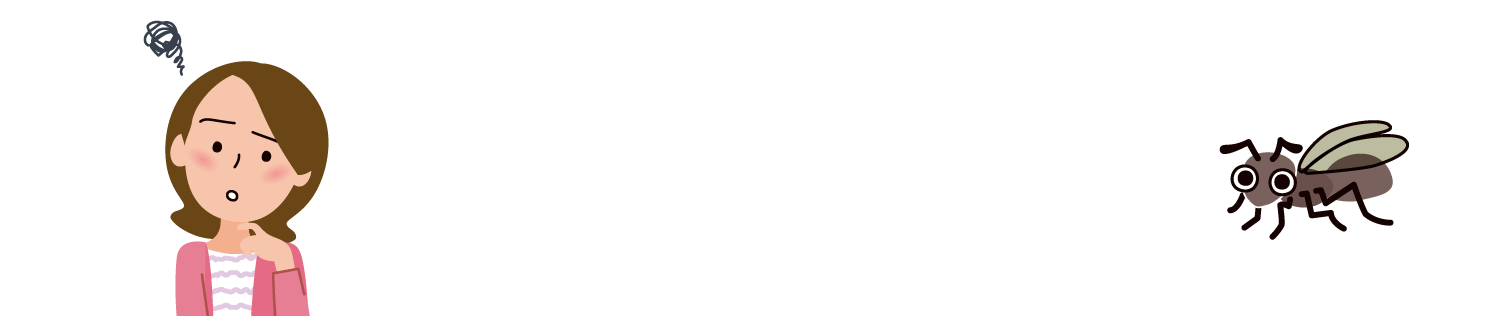 シロアリ・床下メンテナンスのよくあるご質問集