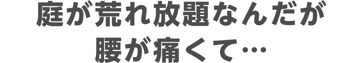 庭が荒れ放題なんだが腰が痛くて…