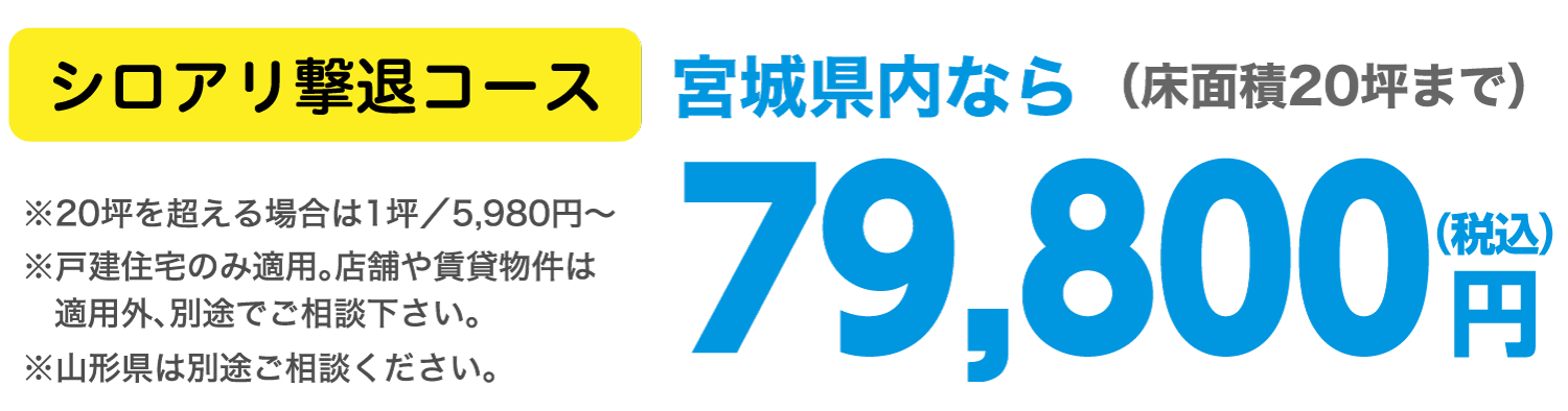 シロアリ撃退コース 宮城県内なら床面積20坪まで79,800円（税込）
