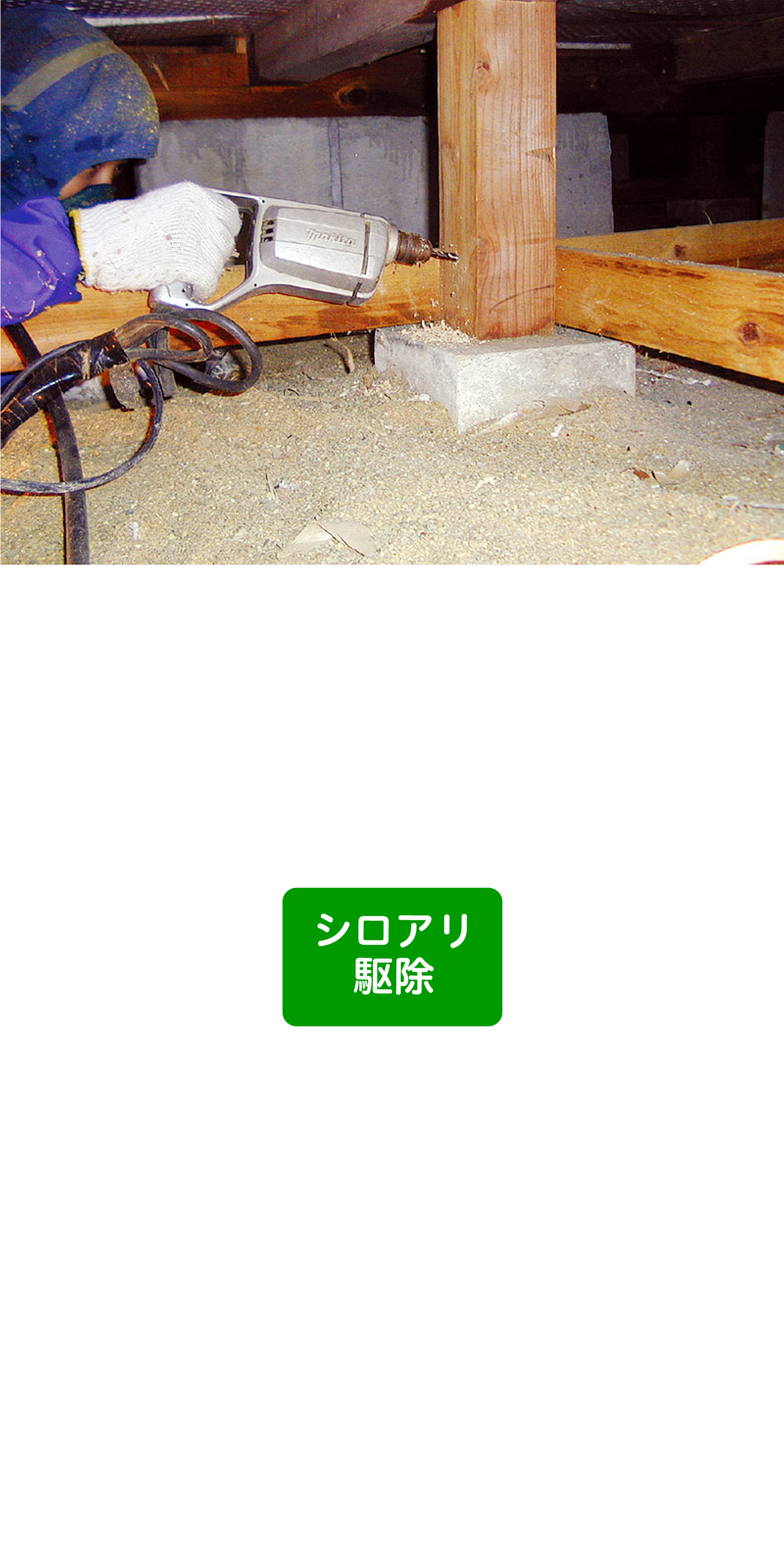 シロアリ撃退コース 79,800円(税込)